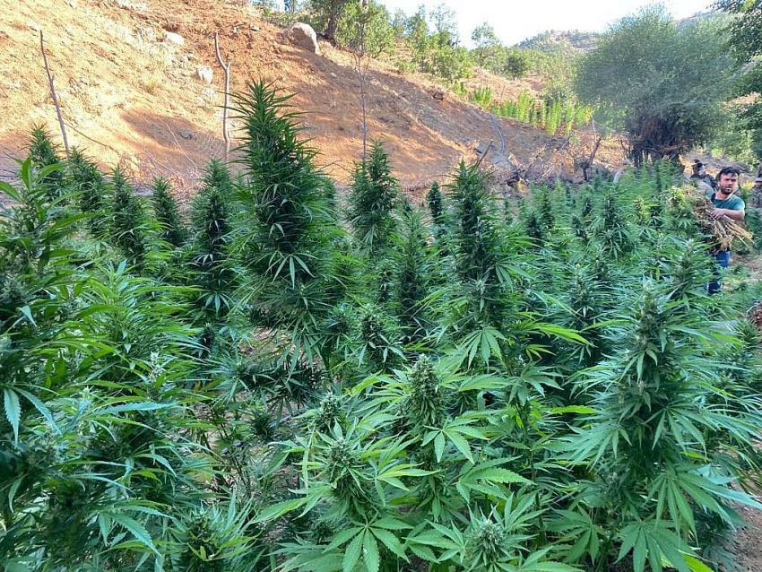 Uyuşturucu Operasyonu