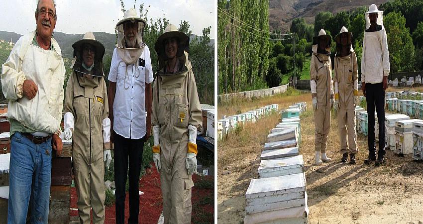 ARI ZEHRİ İÇİN 43 İLDEN NUMUNE TOPLANDI