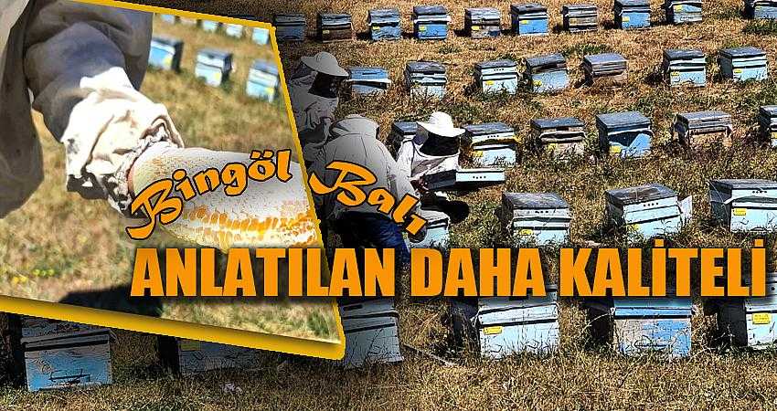 “BİNGÖL BALI’NIN KALİTESİ  ANLATILANLARDAN ÇOK DAHA İYİ”