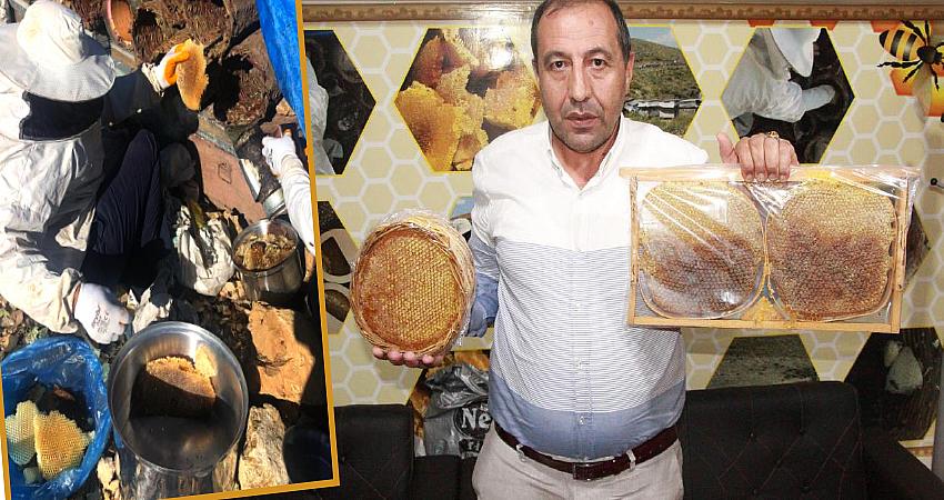 TARIM KREDİ KOOPERATİFİ 17 TON BAL SATIN ALDI