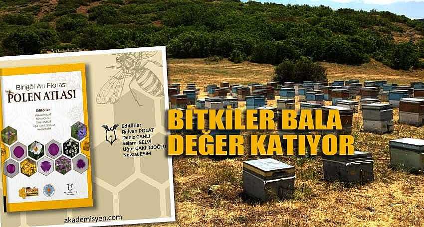 ENDEMİK BİTKİLER BİNGÖL BALI’NA DEĞER KATIYOR