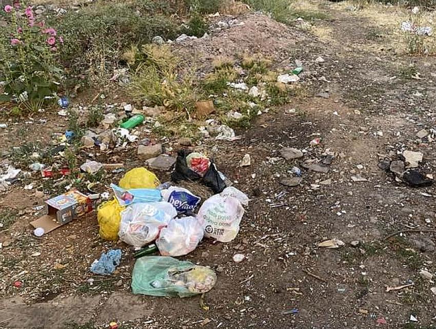 Çöp, Bingöl'ün Bitki Örtüsü Haline Geldi