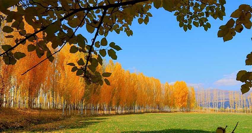 FOTOĞRAF YARIŞMASI DÜZENLENECEK