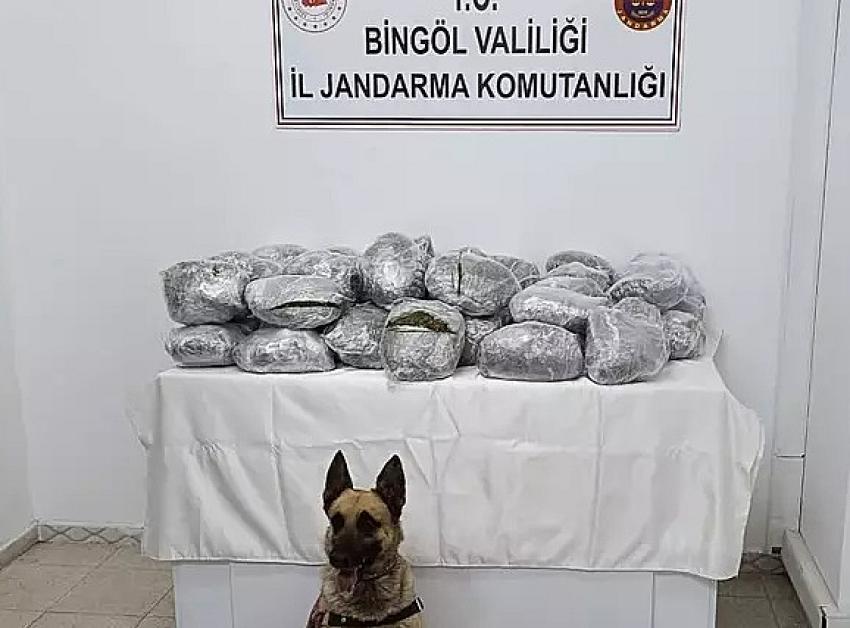 50 Kilo Esrar Ele Geçirildi