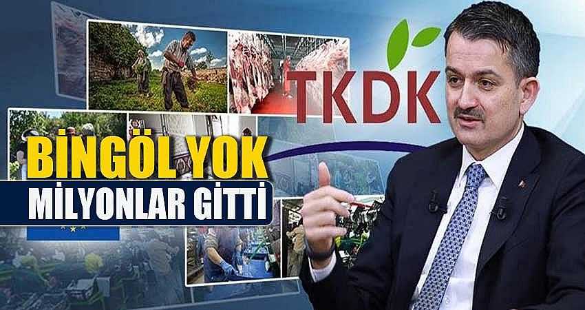 MİLYONLAR GİTTİ