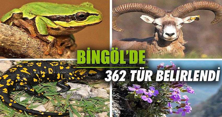 Bingöl’de 362 endemik tür belirlendi