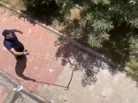 Sitede Yılan Paniği