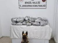 50 Kilo Esrar Ele Geçirildi