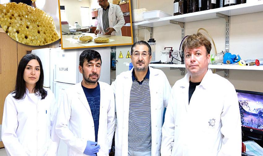 ARI LAVRASINDAN KANSER İLACI ÜRETTİLER