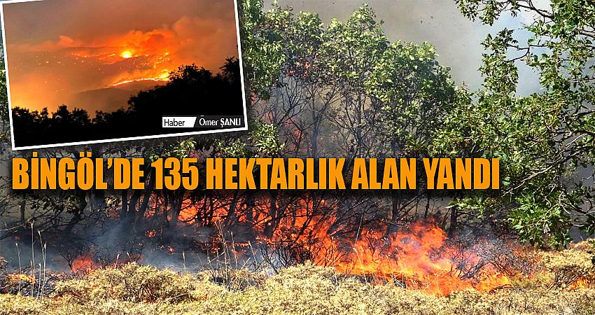 BİNGÖL’DE 135 HEKTARLIK ALAN YANDI