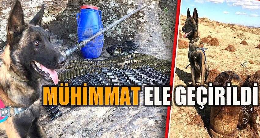 Patlayıcı, mermi ve mühimmat ele geçirildi
