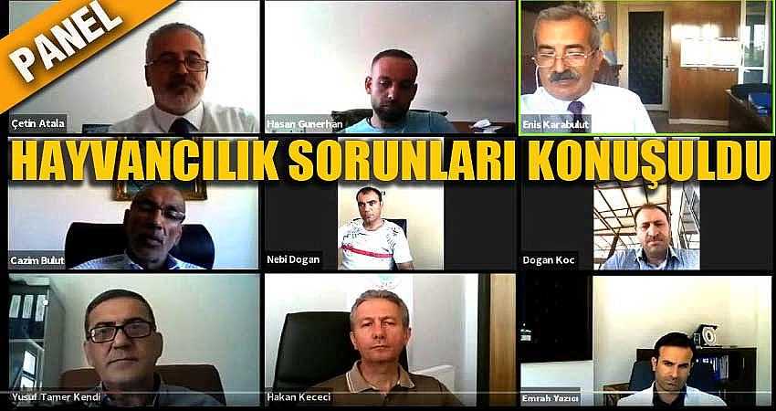 “HAYVANCILIĞA GEREKEN ÖNEM VERİLMİYOR”