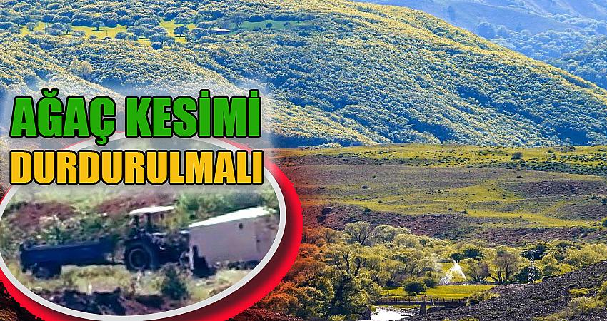 AĞAÇ KESİMİ DERHAL DURDURULMALI
