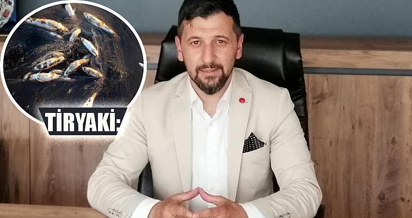 BALIK ÖLÜMLERİNİN SEBEBİ SÜTAŞ MI?