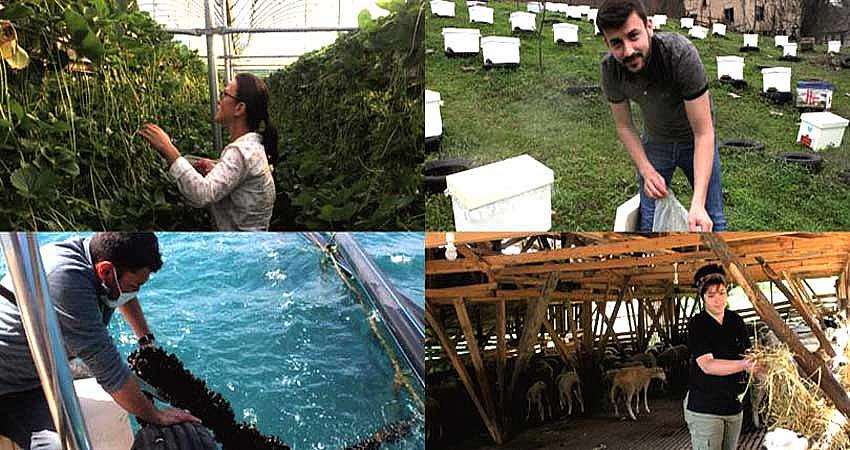 BİNGÖL’ÜN 53 PROJESİ DESTEKLENECEK