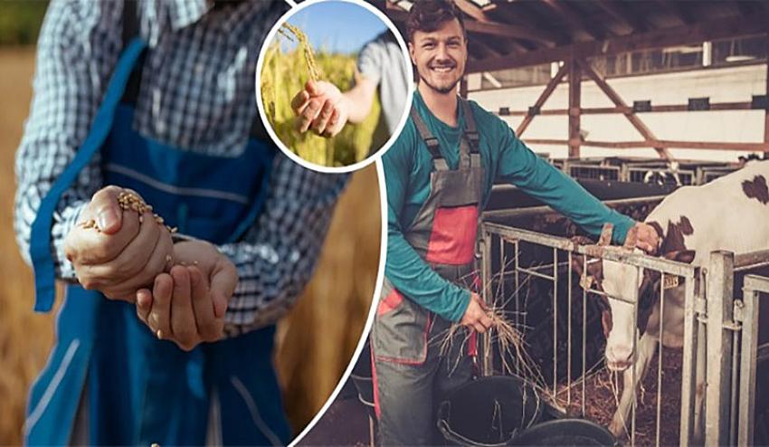 Uzman eller projelerine ek süre imkanı getirildi