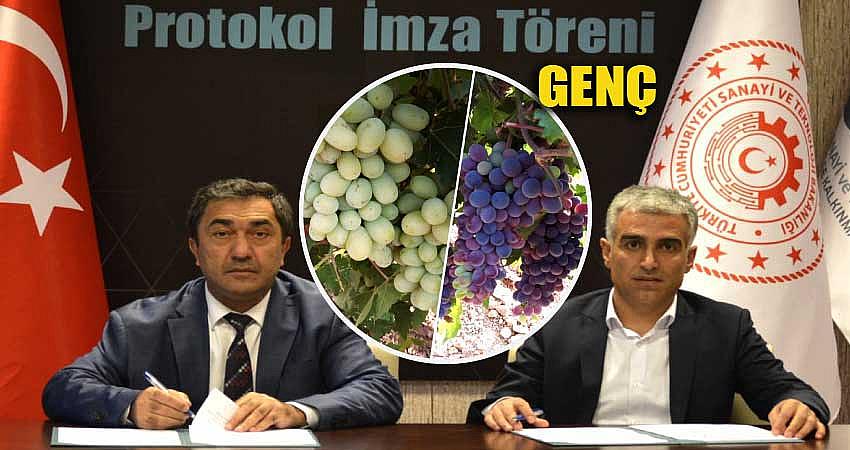 ÜZÜM ÜRETİMİ 2,5 KAT ARTTI