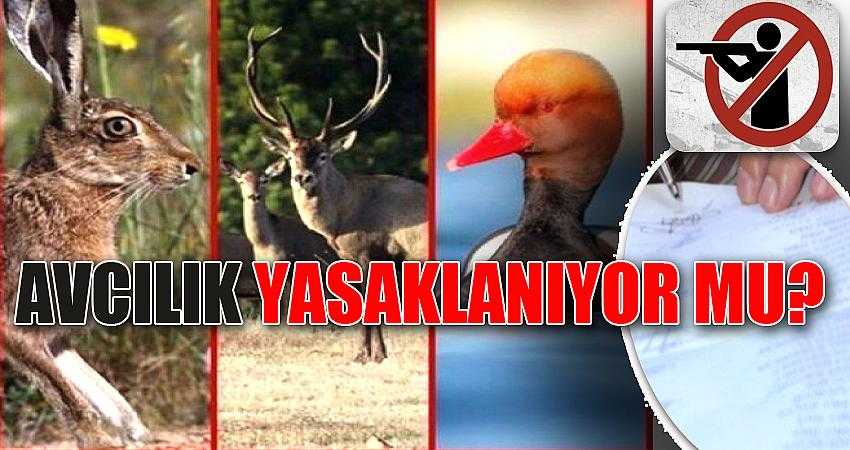Avcılık yasaklanıyor mu?