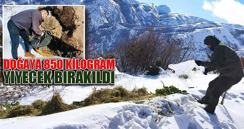 DOĞAYA 850 KİLOGRAM YİYECEK BIRAKILDI