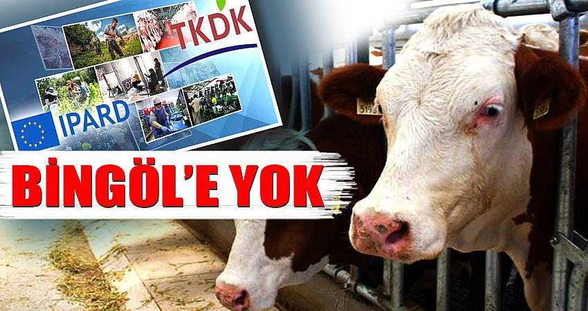 BİNGÖL (TKDK) DESTEĞİNDEN YOKSUN